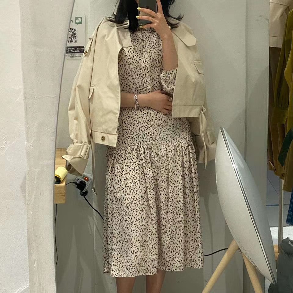 米色