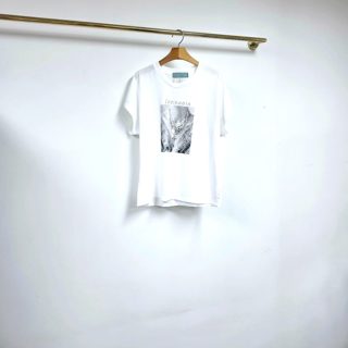 灰色