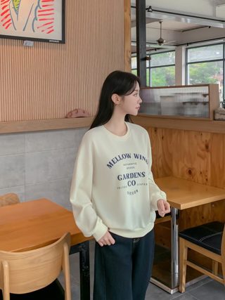 图片色