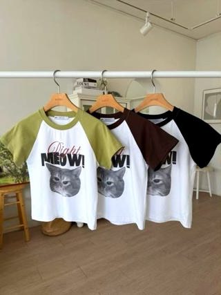 白色