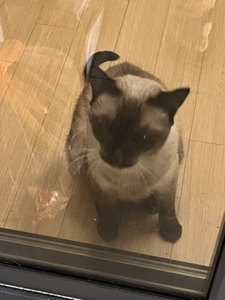 图片色