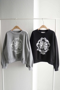 사진색(图片色)